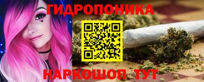 стаф Бузулук