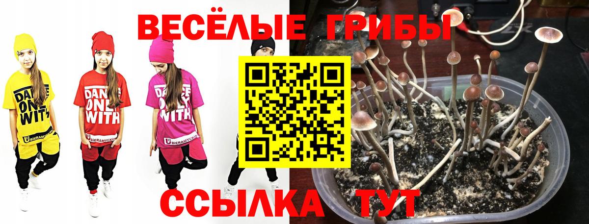 ГАШ Кудрово
