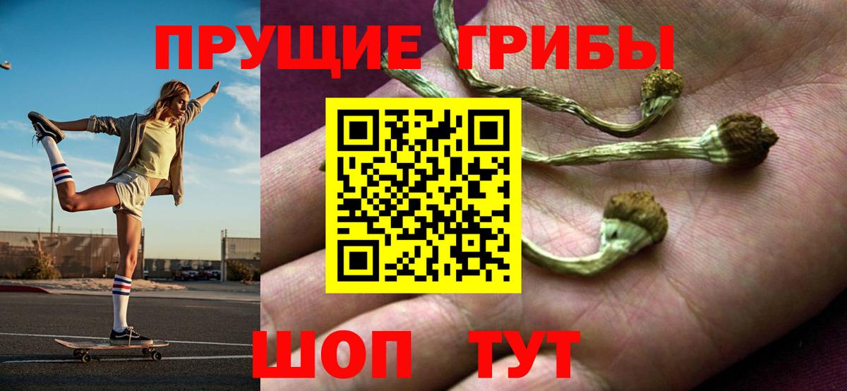 Кудрово  Галлюциногенные грибы прущие грибы  Вход с VPN 