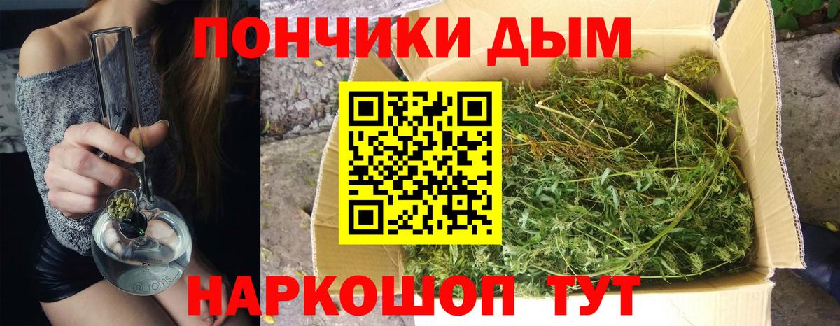 Шишки марихуана SATIVA & INDICA  Бошки марихуана планчик  Вход с VPN  Кудрово 